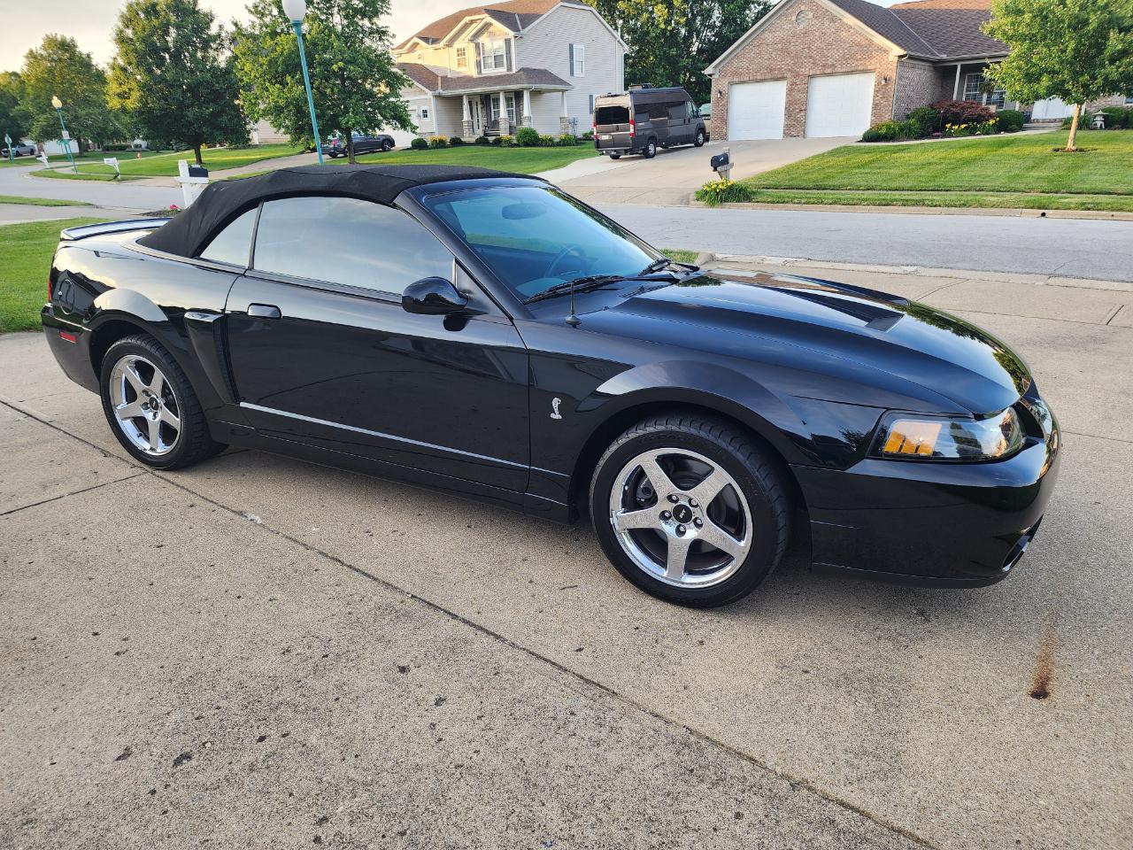 Ford Mustang 2dr Conv SVT Cobra 2003