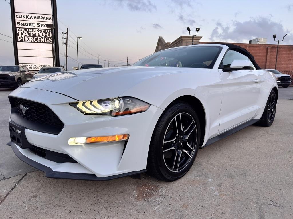 2019 Ford Mustang EcoBoost Premium - Photo 6