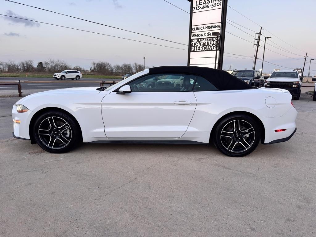 2019 Ford Mustang EcoBoost Premium - Photo 8
