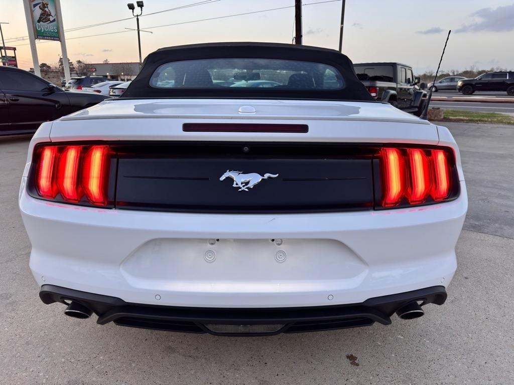 2019 Ford Mustang EcoBoost Premium - Photo 10