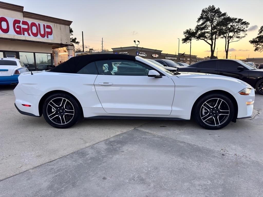 2019 Ford Mustang EcoBoost Premium - Photo 12