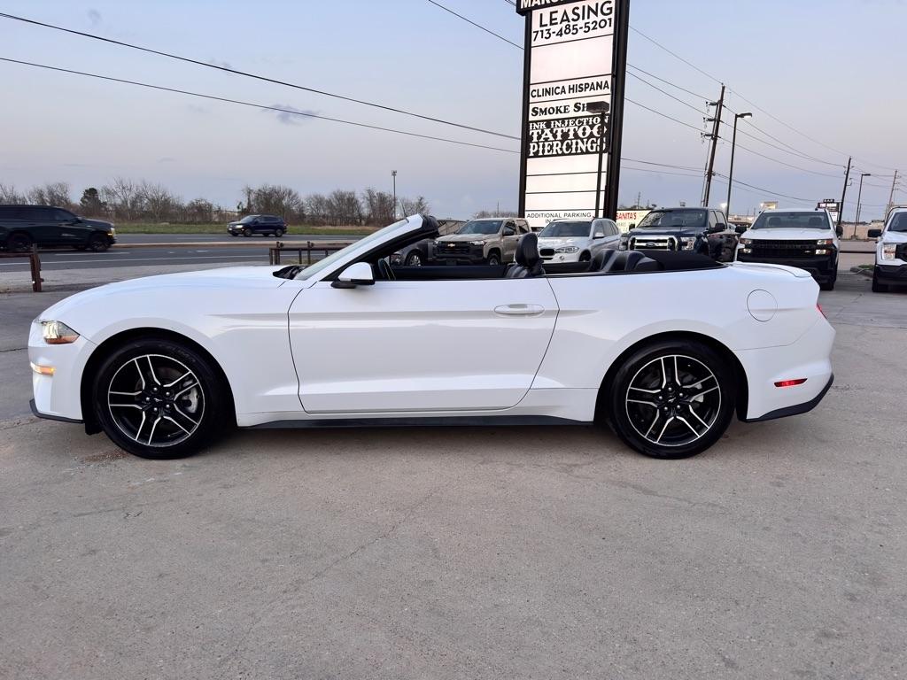 2019 Ford Mustang EcoBoost Premium - Photo 14