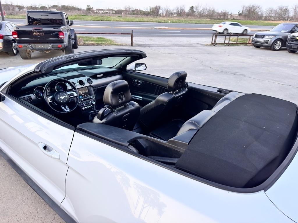 2019 Ford Mustang EcoBoost Premium - Photo 15