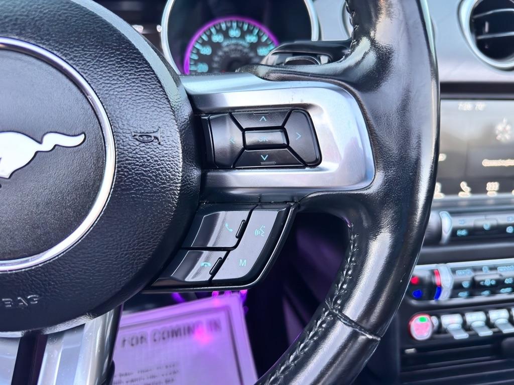 2019 Ford Mustang EcoBoost Premium - Photo 31