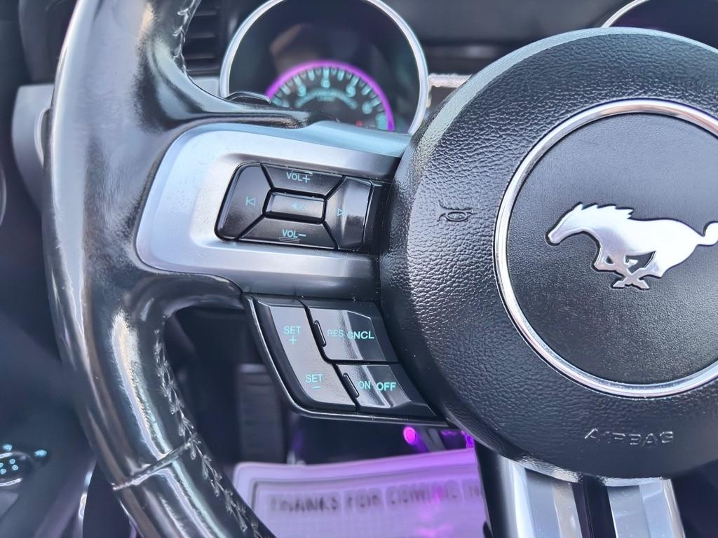 2019 Ford Mustang EcoBoost Premium - Photo 32