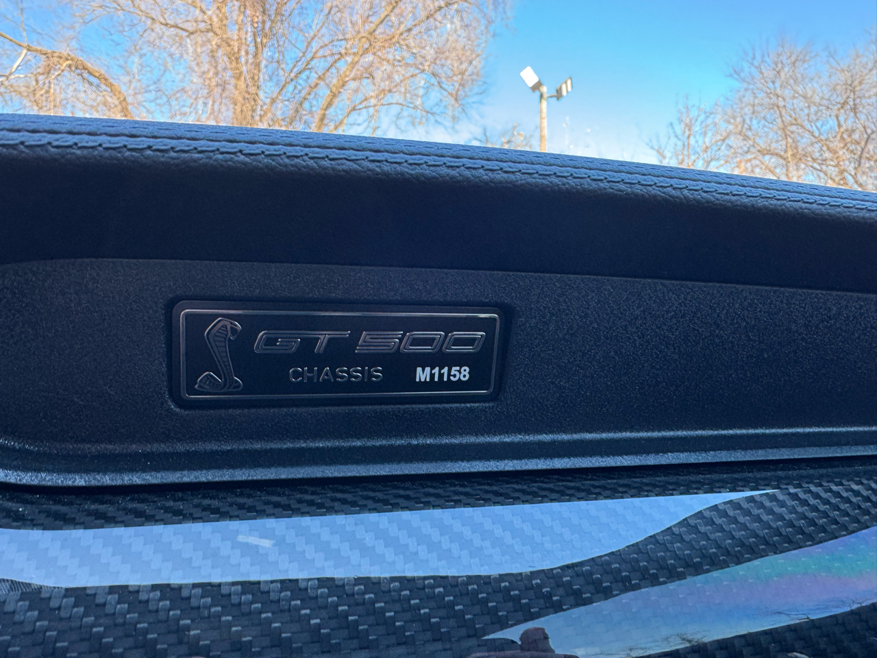 Ford Mustang Shelby GT500 Fastback 2021