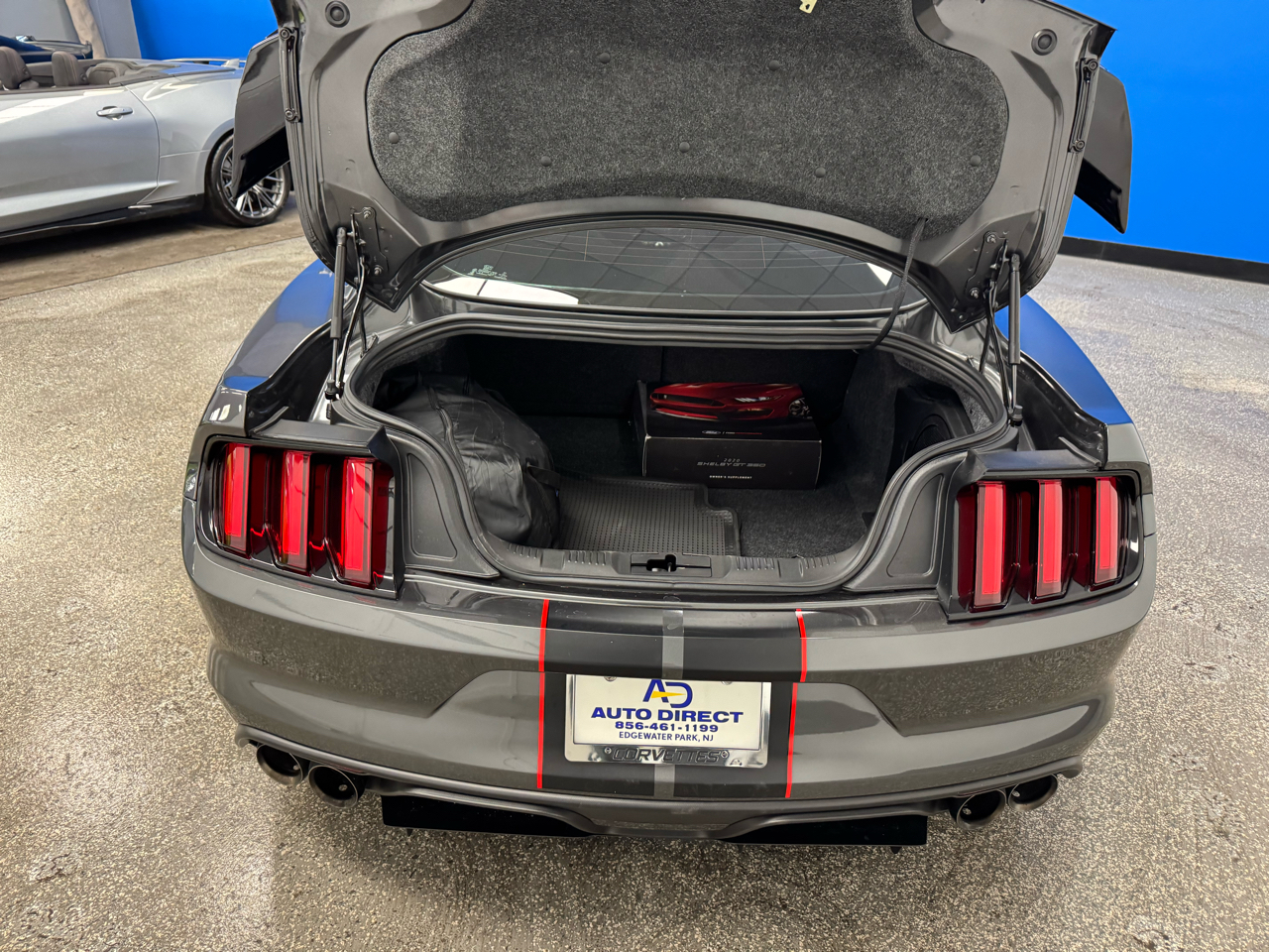 Ford Mustang Shelby GT350R Fastback 2020