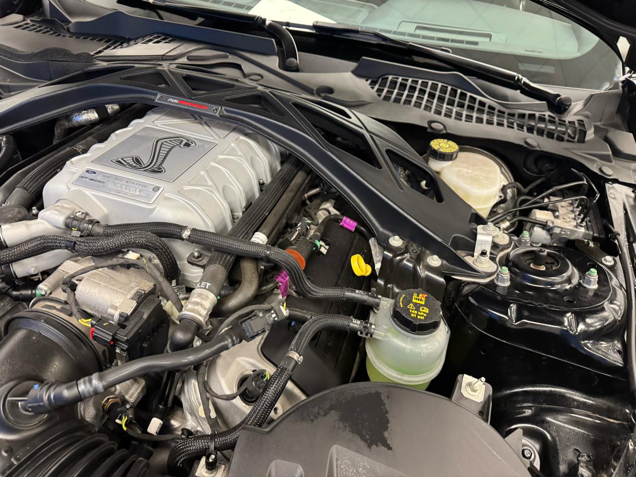 Ford Mustang Shelby GT500 Fastback 2020