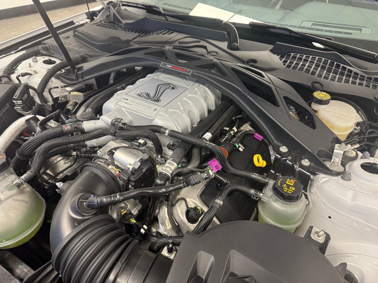 Ford Mustang Shelby GT500 Fastback 2020