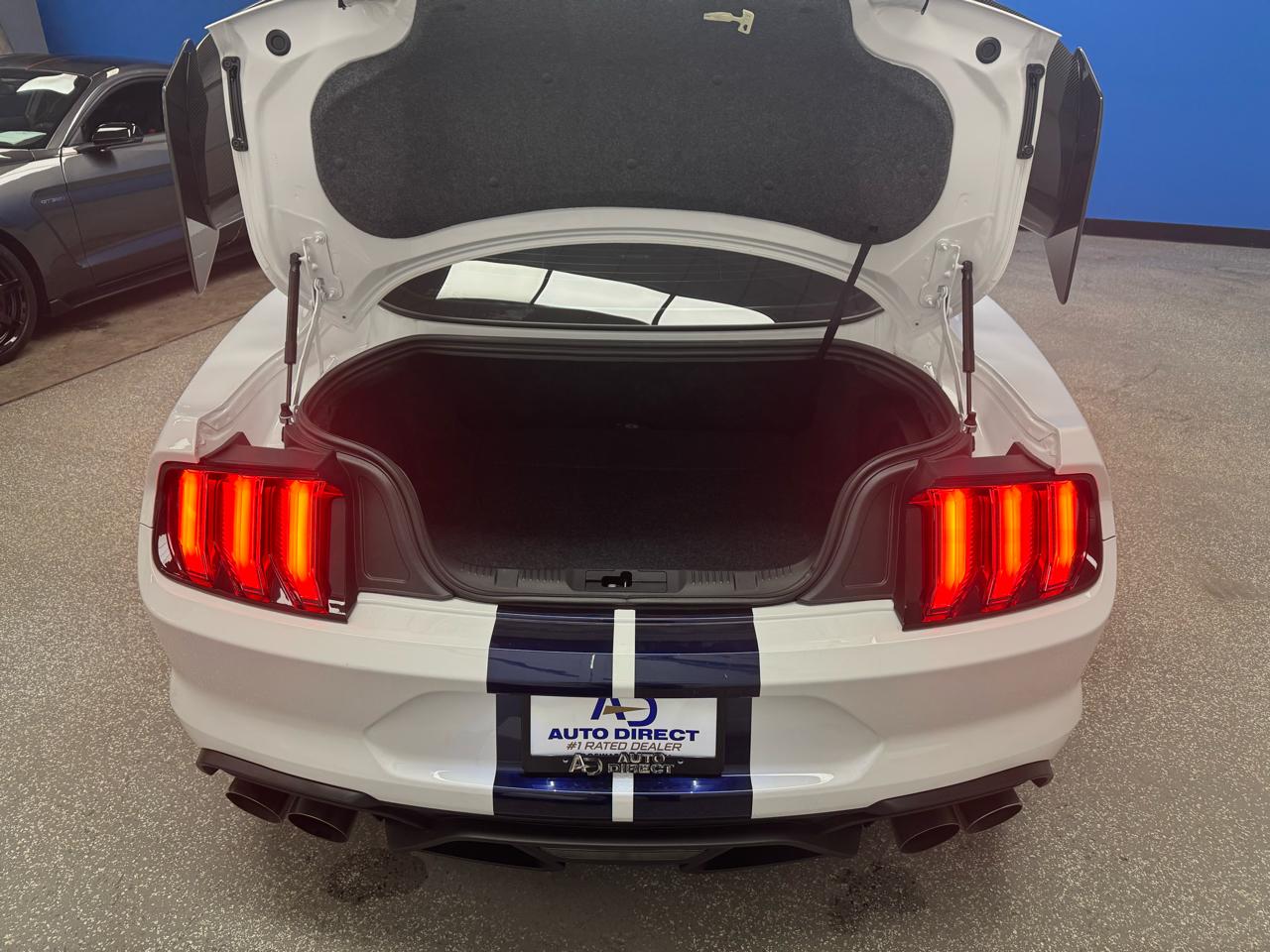 Ford Mustang Shelby GT500 Fastback 2020