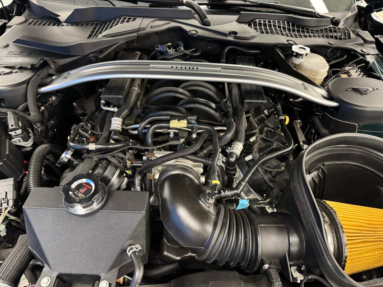 Ford Mustang Bullitt Fastback 2019