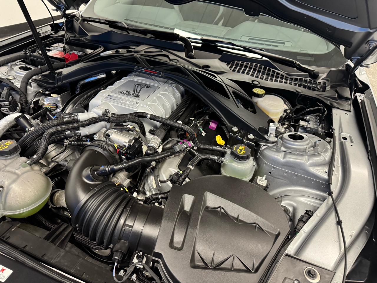 Ford Mustang Shelby GT500 Fastback 2021