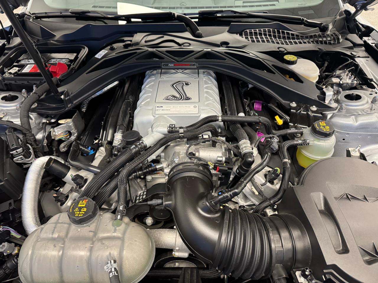 Ford Mustang Shelby GT500 Fastback 2021