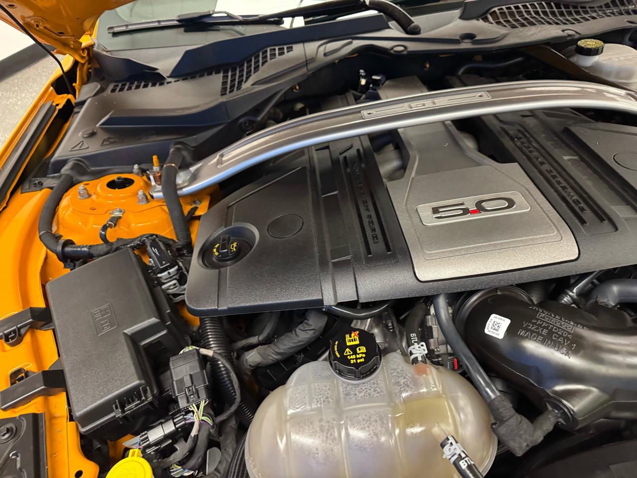 Ford Mustang GT Fastback 2019