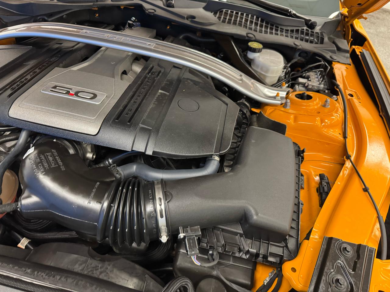 Ford Mustang GT Fastback 2019