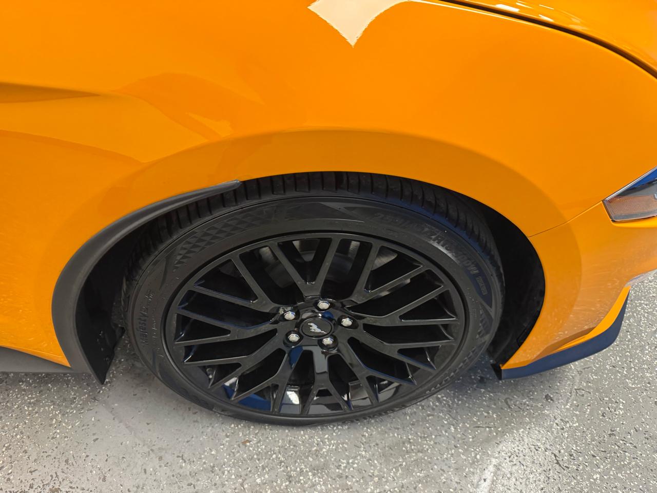 Ford Mustang GT Fastback 2019