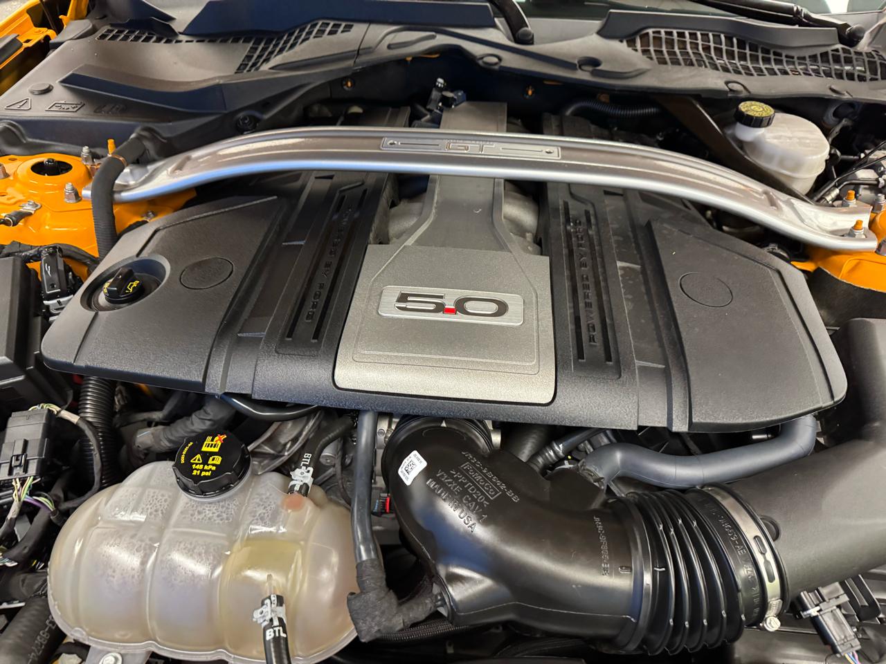 Ford Mustang GT Fastback 2019