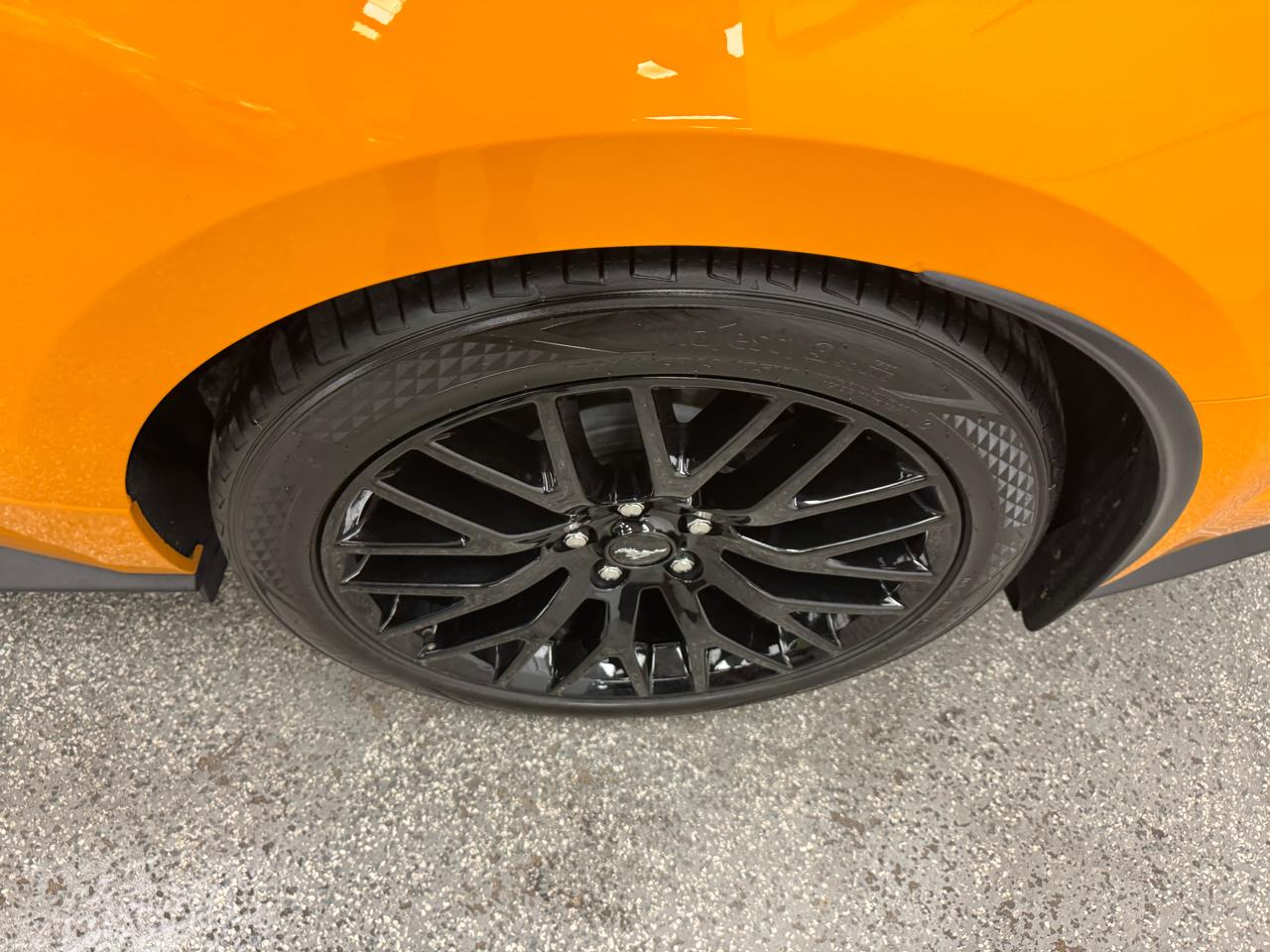 Ford Mustang GT Fastback 2019