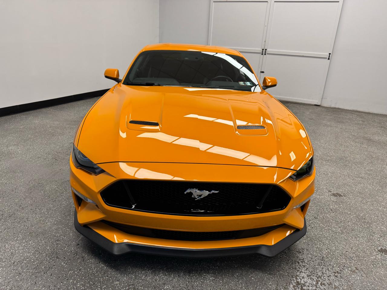 Ford Mustang GT Fastback 2019