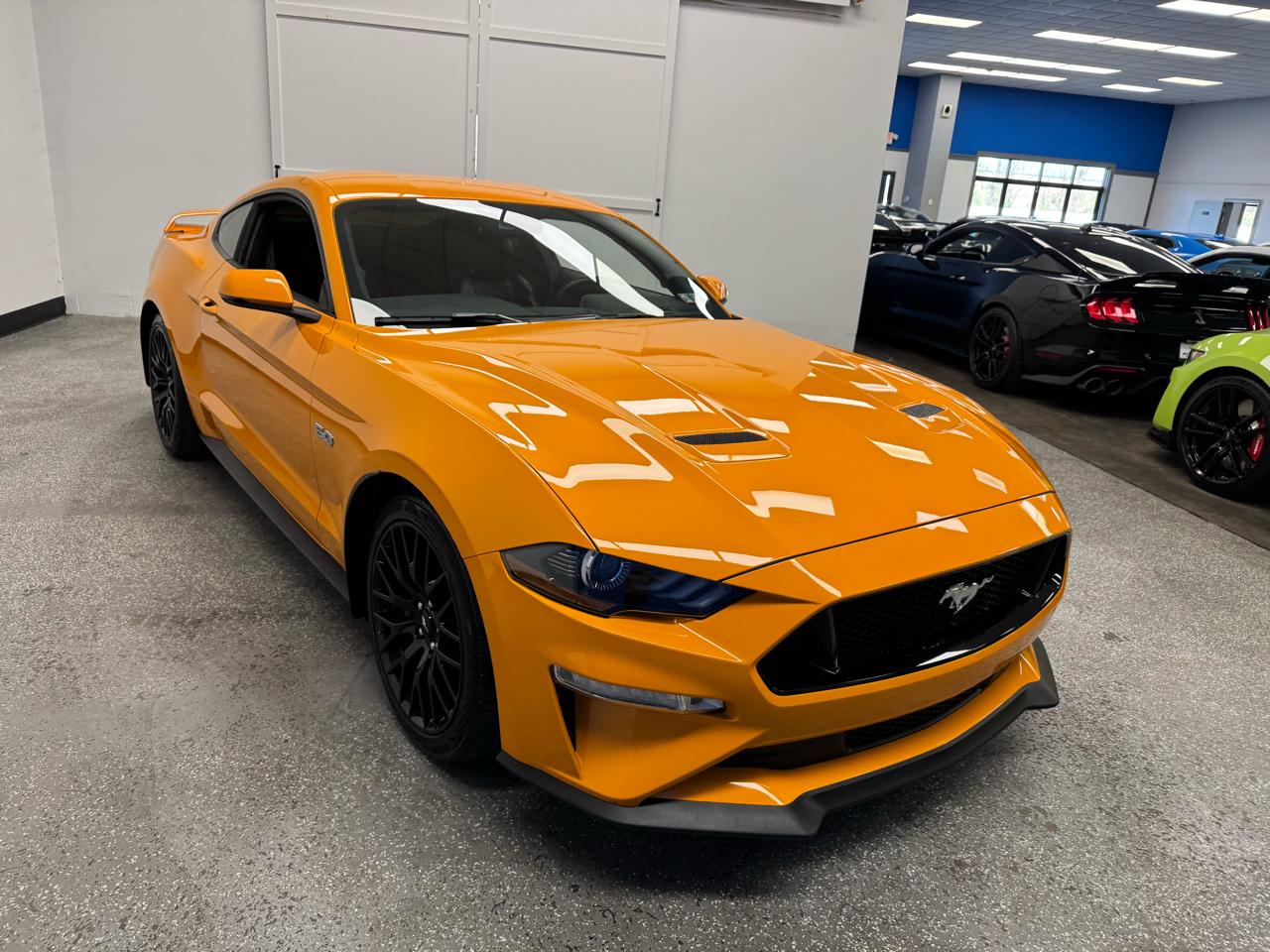 Ford Mustang GT Fastback 2019