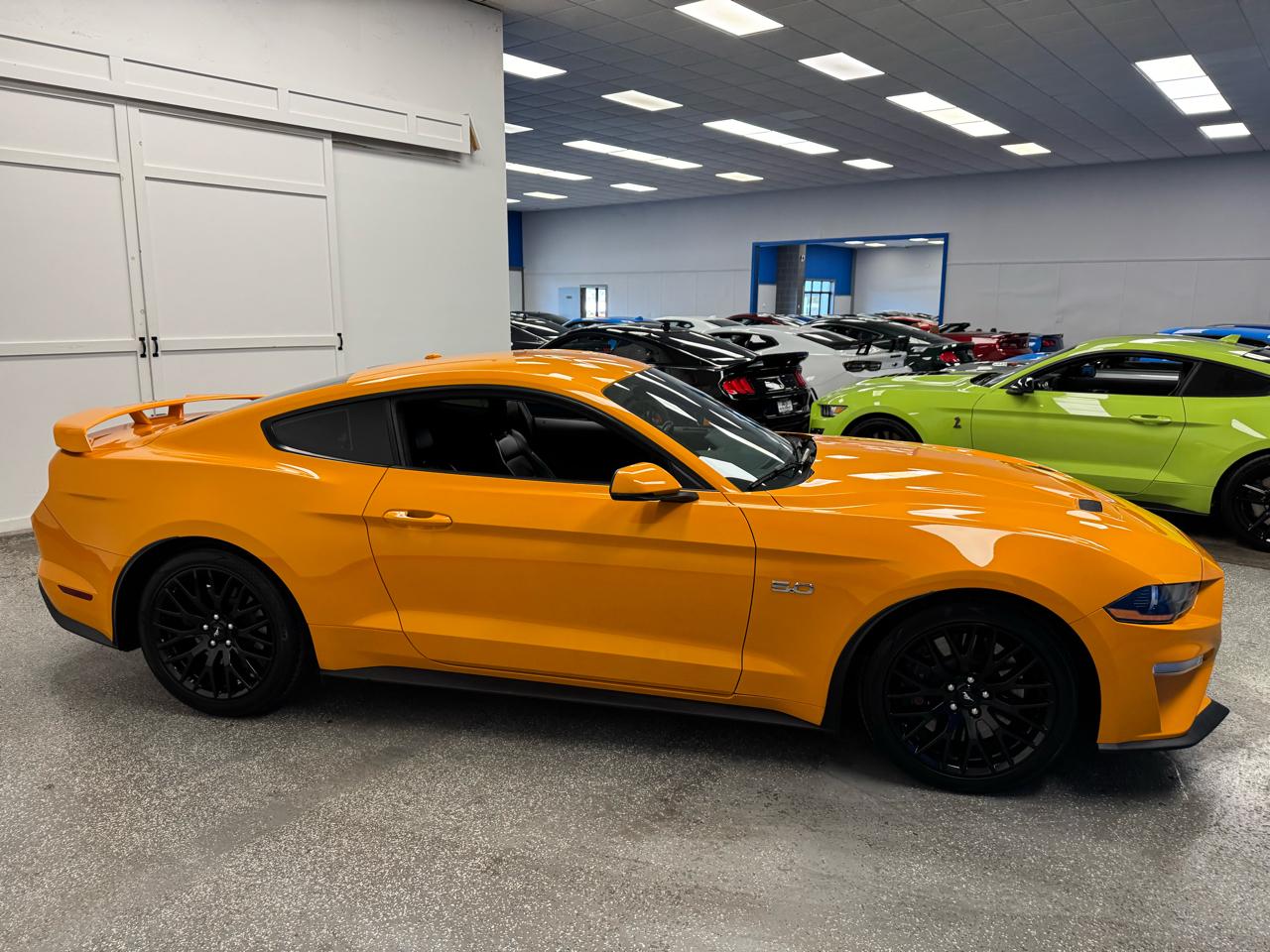 Ford Mustang GT Fastback 2019