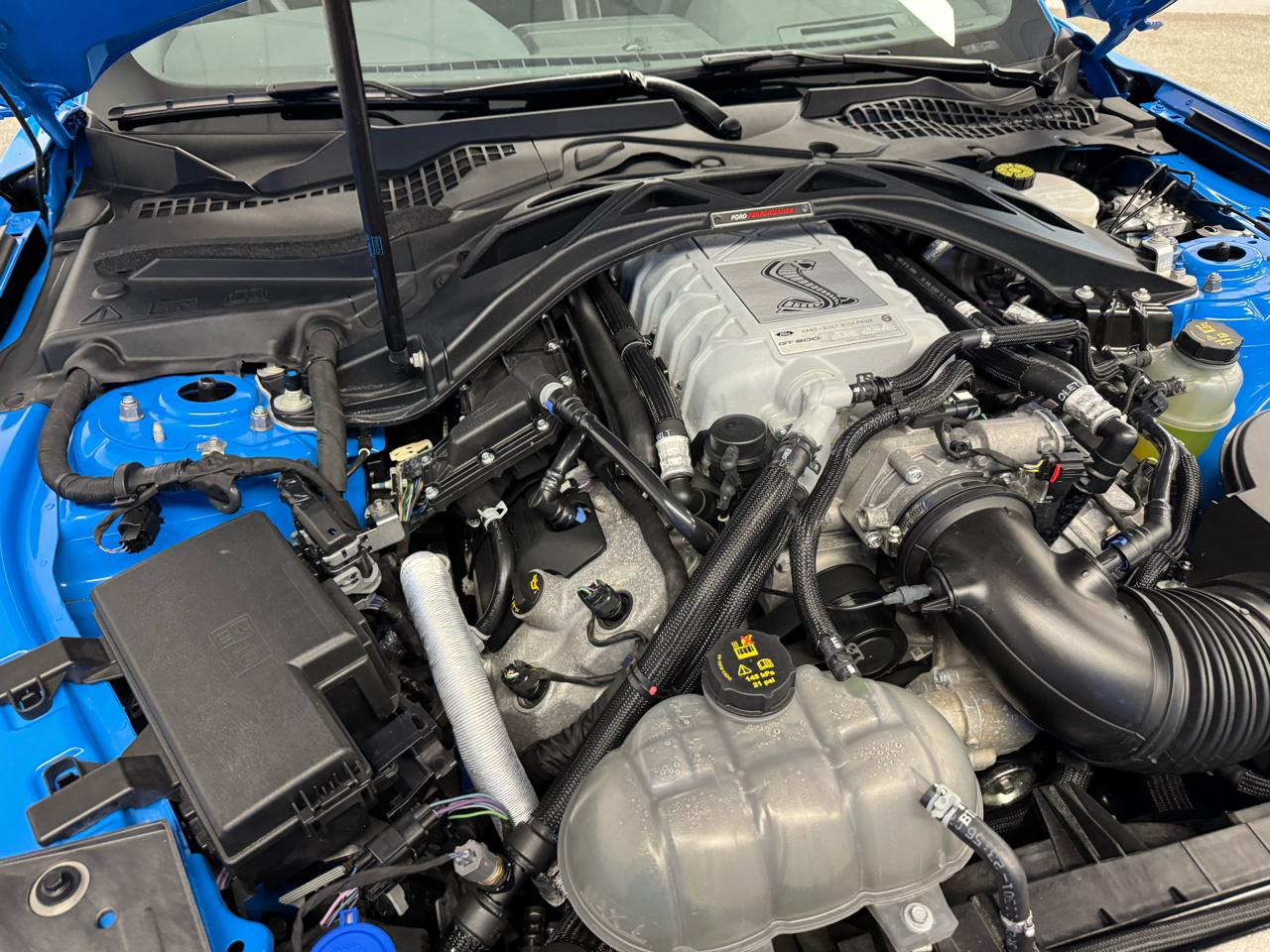 Ford Mustang Shelby GT500 Fastback 2022