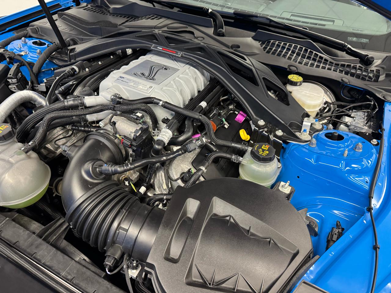 Ford Mustang Shelby GT500 Fastback 2022