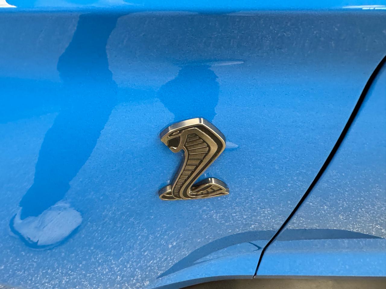 Ford Mustang Shelby GT500 Fastback 2022