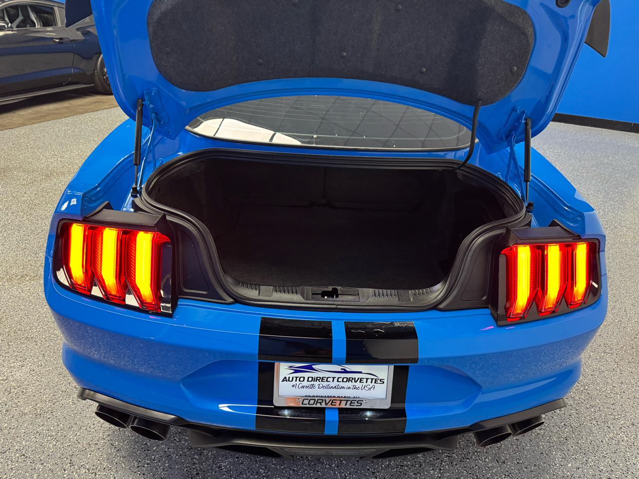 Ford Mustang Shelby GT500 Fastback 2022
