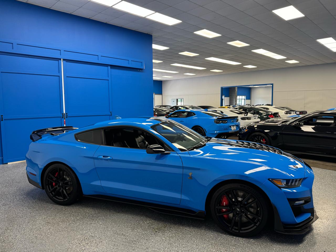 Ford Mustang Shelby GT500 Fastback 2022