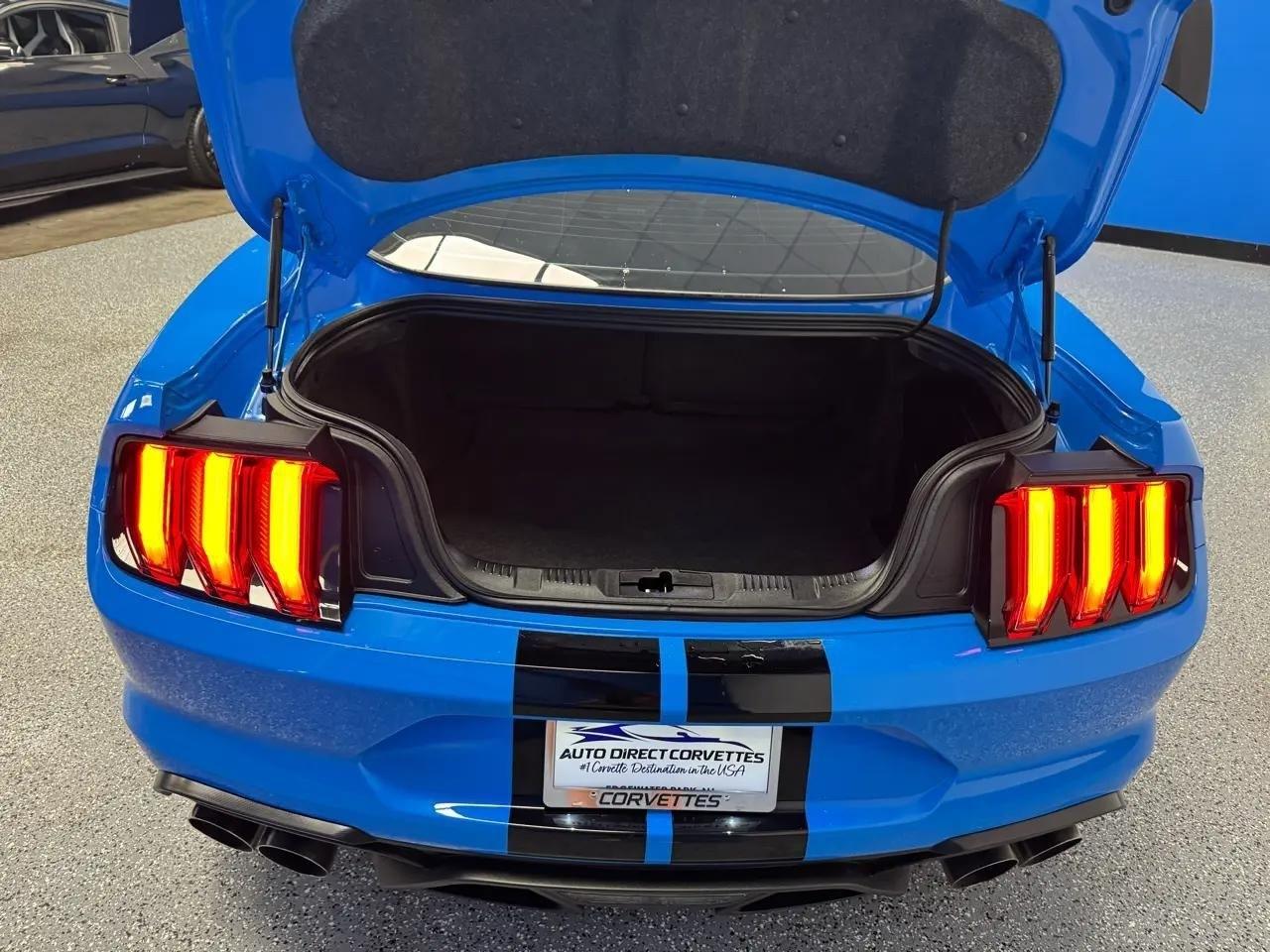 Ford Mustang Shelby GT500 Fastback 2022