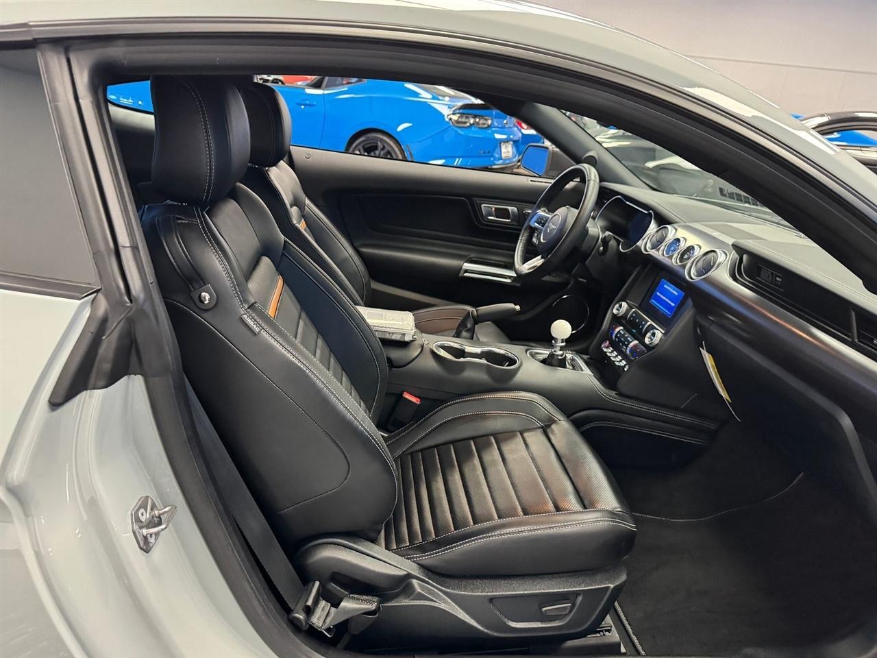 Ford Mustang Mach 1 Fastback 2022