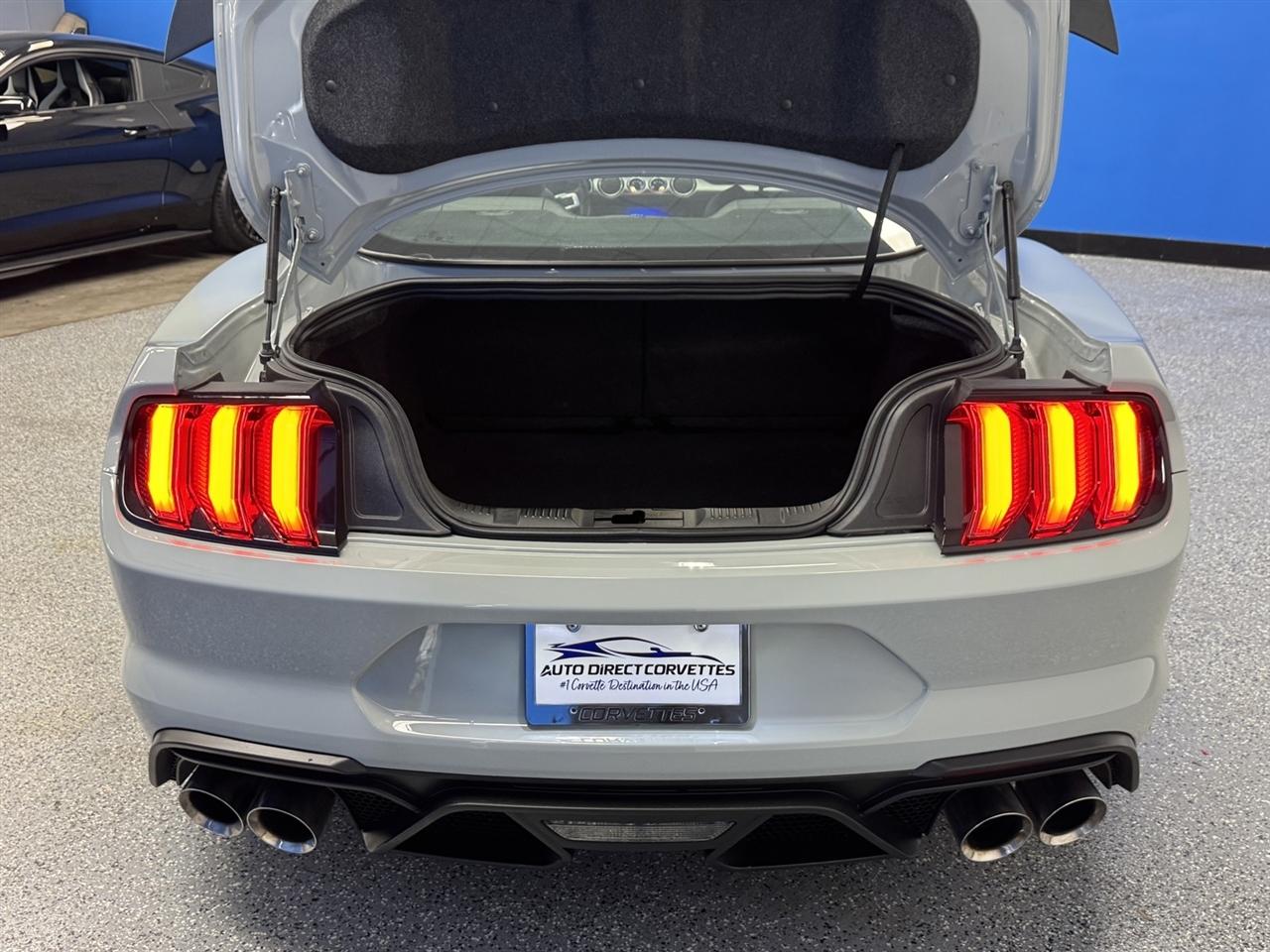 Ford Mustang Mach 1 Fastback 2022