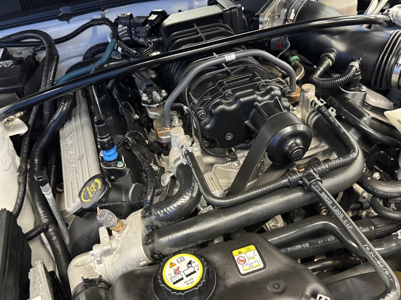 Ford Mustang 2dr Cpe Shelby GT500 2008