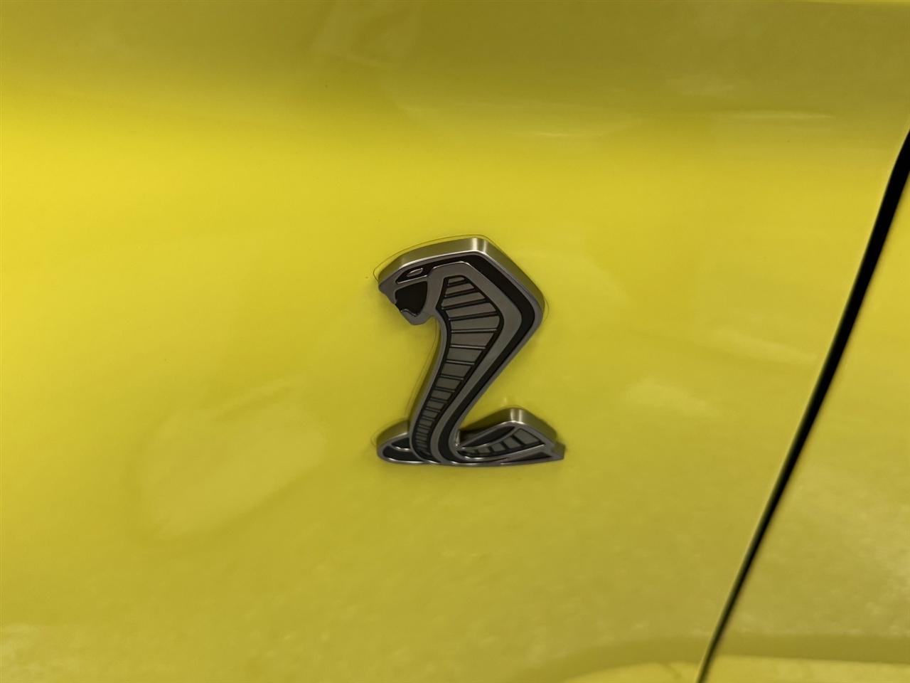 Ford Mustang Shelby GT500 Fastback 2021