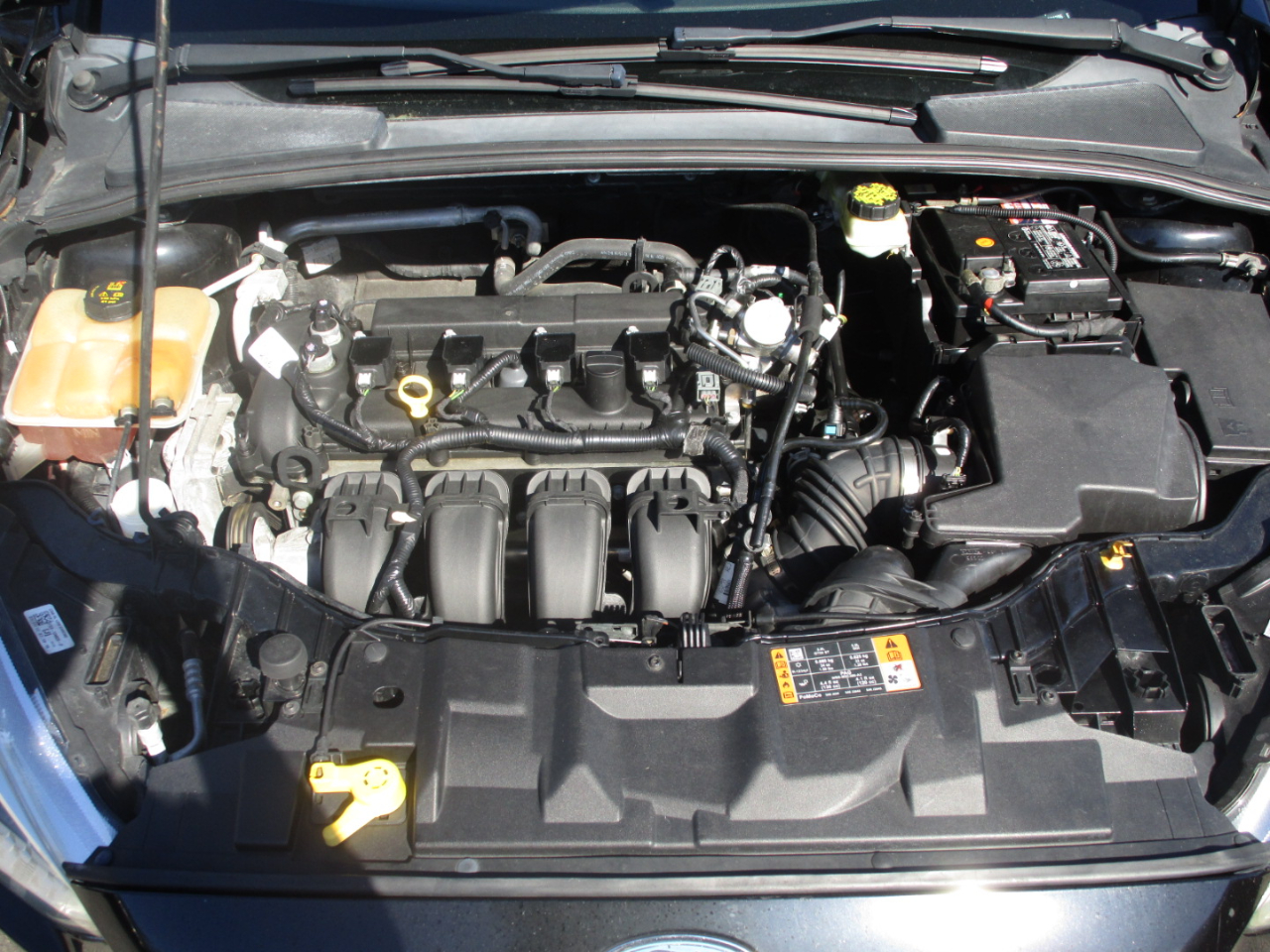 Ford Focus SE Hatch 2017