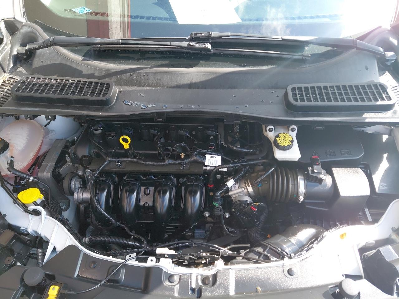 Ford Escape S FWD 2017