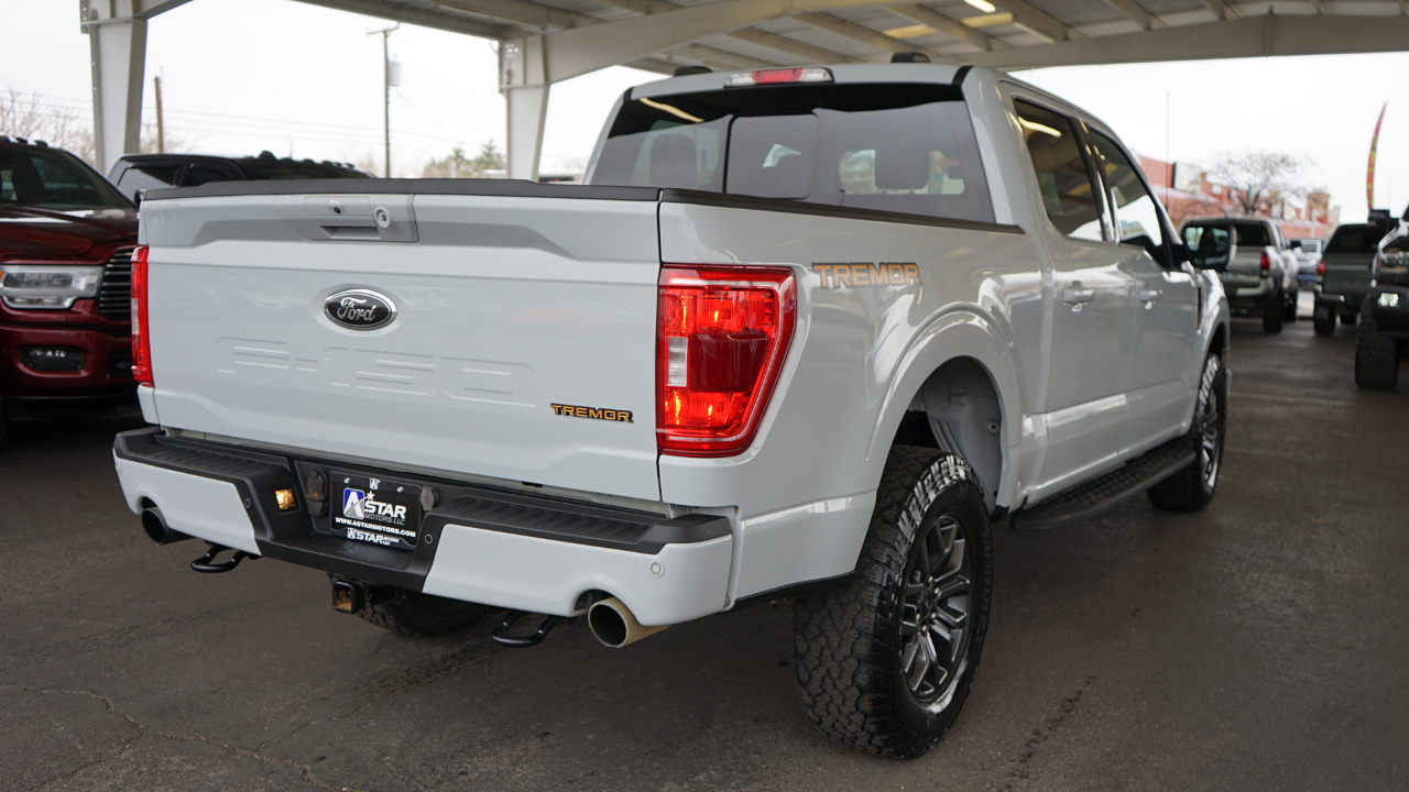 Ford F-150 Tremor SuperCrew 4WD 2023