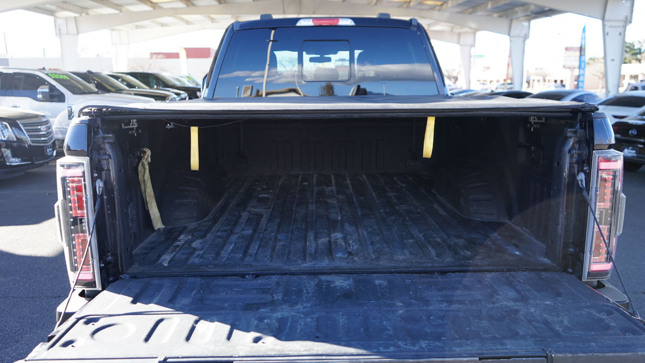 Ford F-250 SD Platinum Crew Cab 4WD 2020