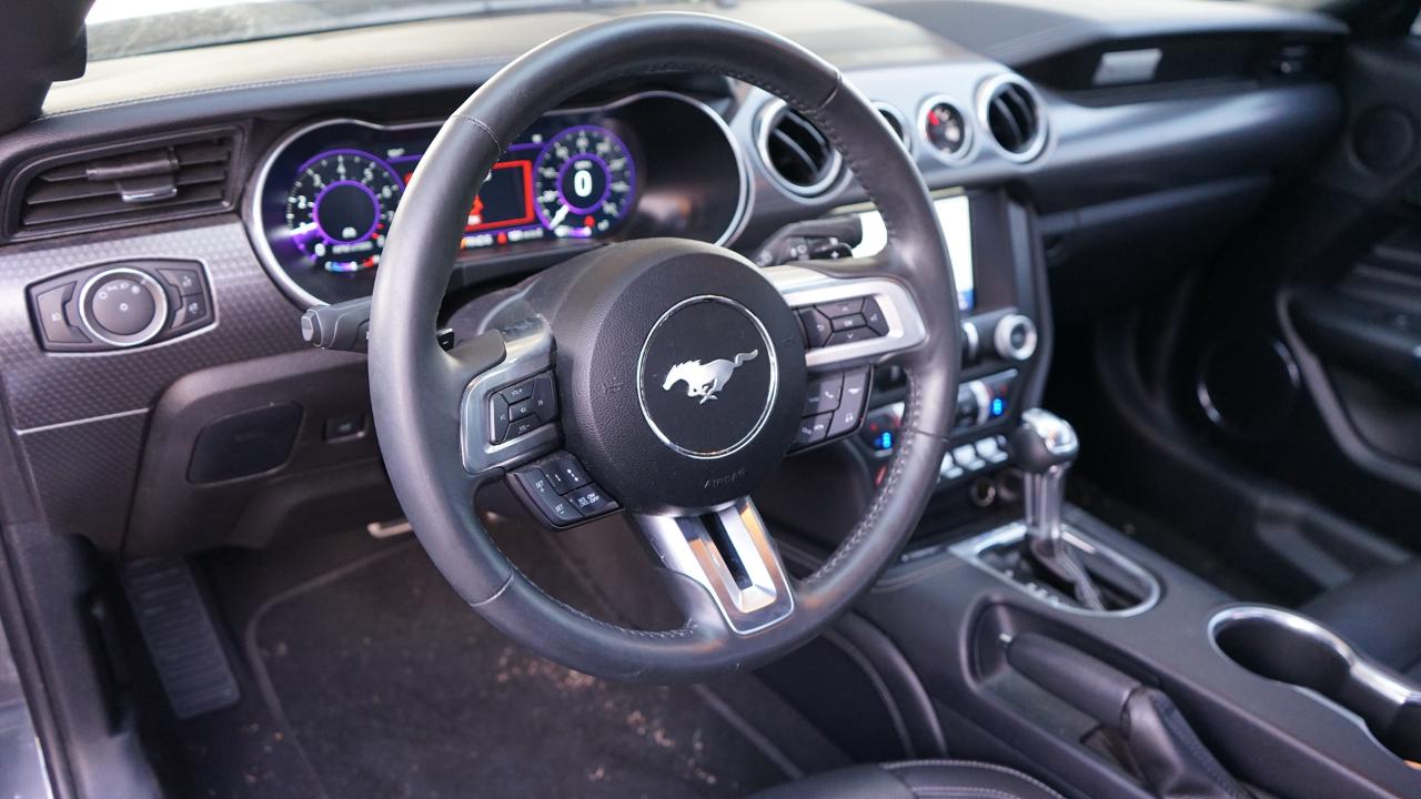 Ford Mustang GT Fastback 2021