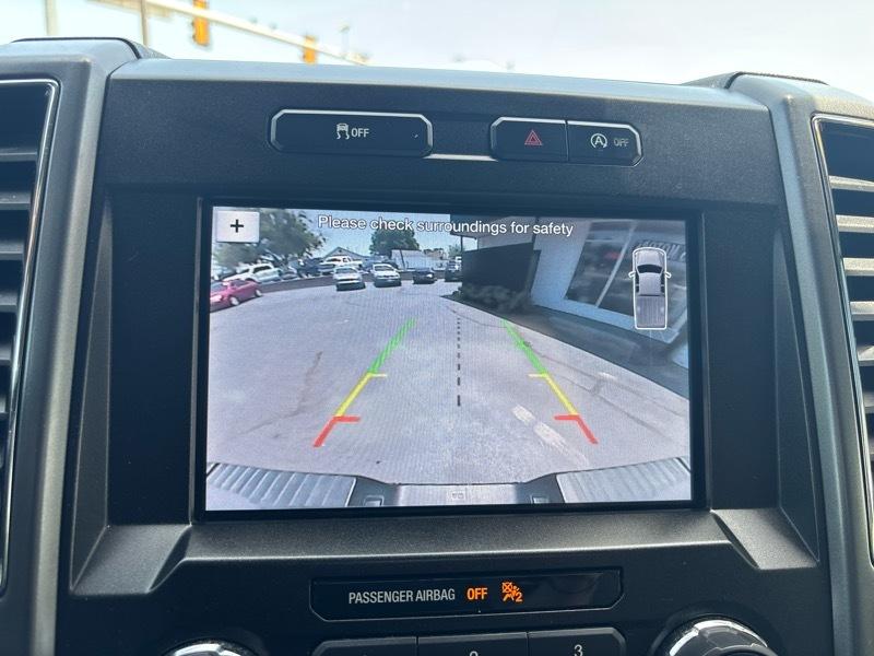 Ford F-150 4WD SuperCrew 139" XLT 2019