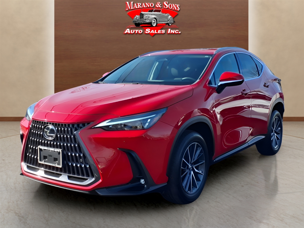 2023 Lexus NX 350's photo