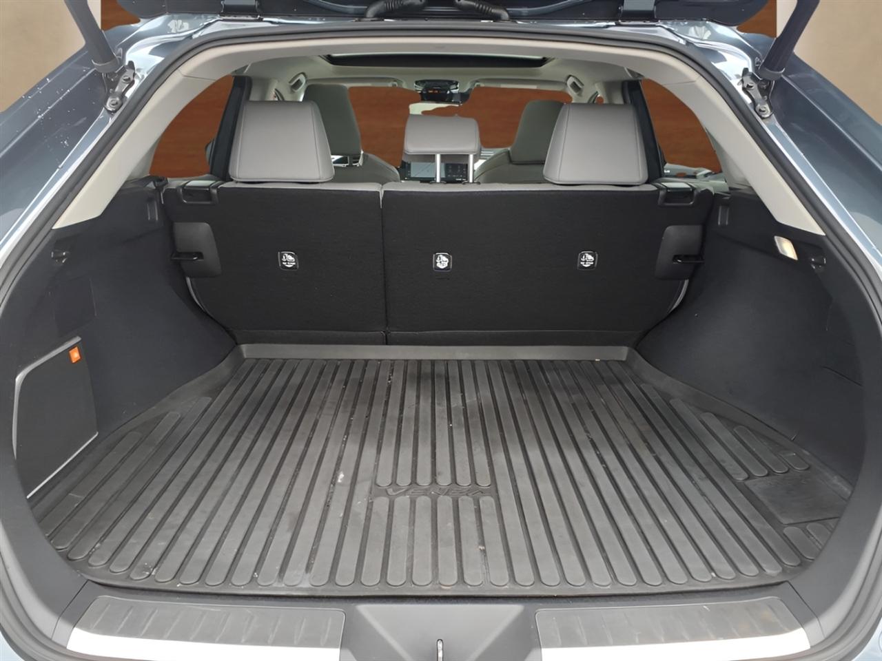 Toyota Venza Limited AWD (Natl) 2021