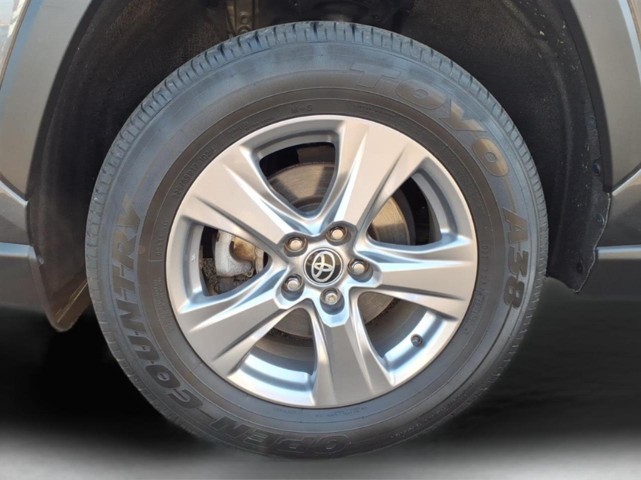 Toyota RAV4 XLE AWD (Natl) 2023