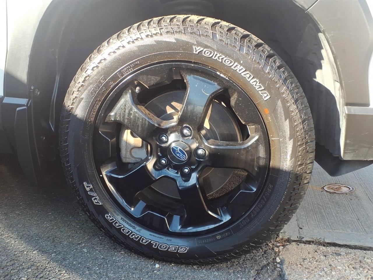 Subaru Forester Wilderness CVT 2023