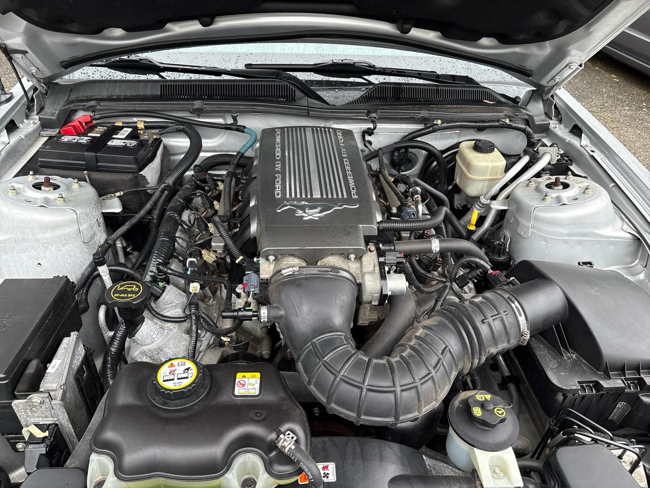 Ford Mustang 2dr Conv GT Deluxe 2008
