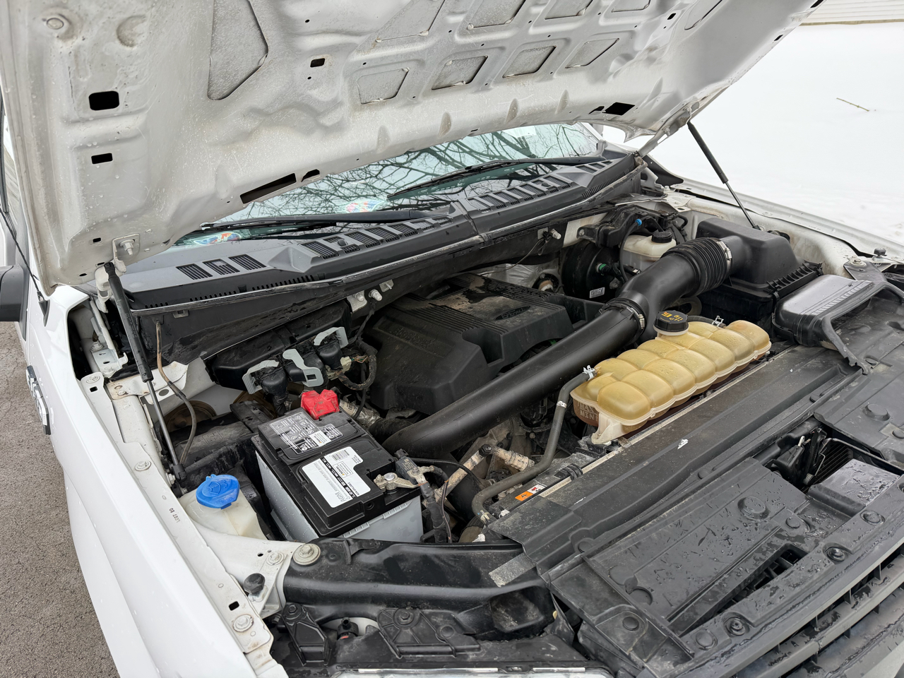 Ford F-150 4WD SuperCrew 145" XL 2020