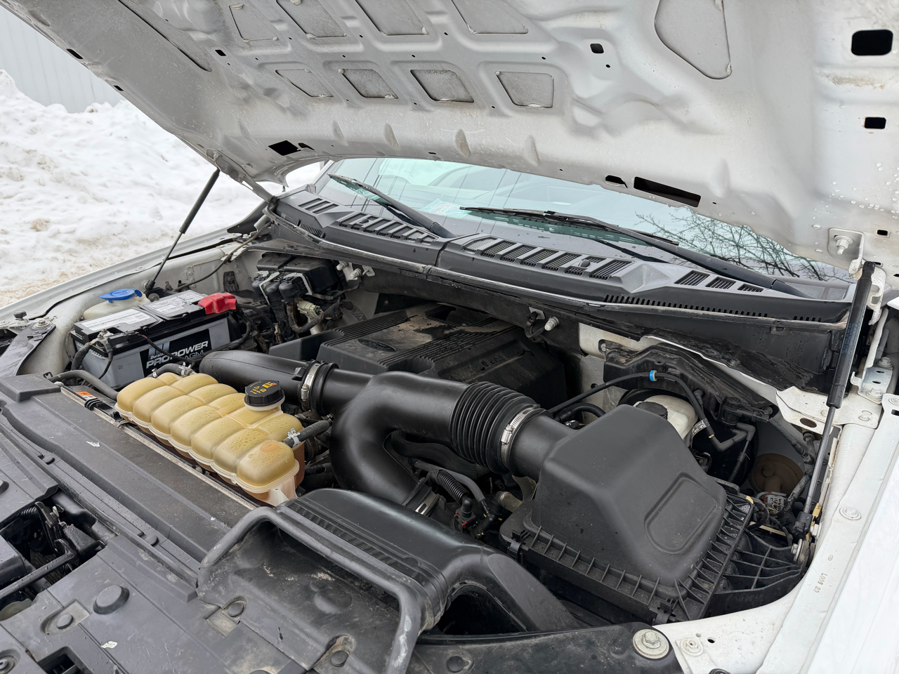 Ford F-150 4WD SuperCrew 145" XL 2020