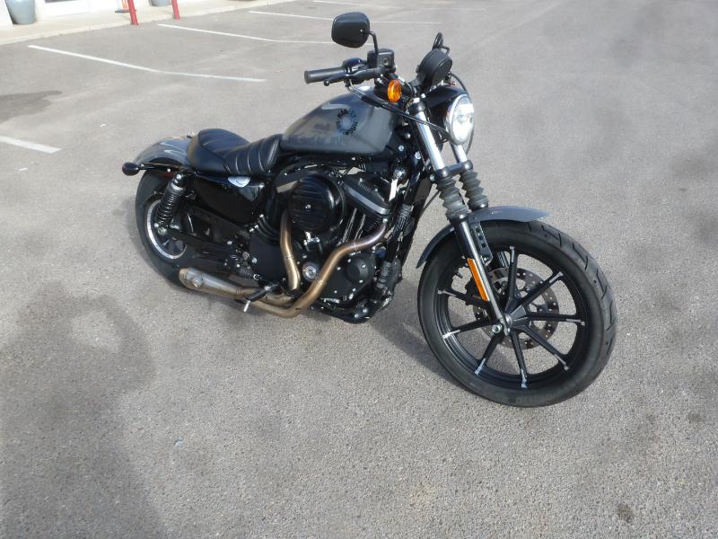 Harley-Davidson XL883N  2022