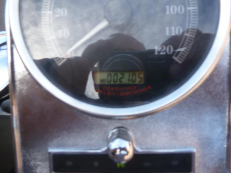 Harley-Davidson FLSTSI  2006